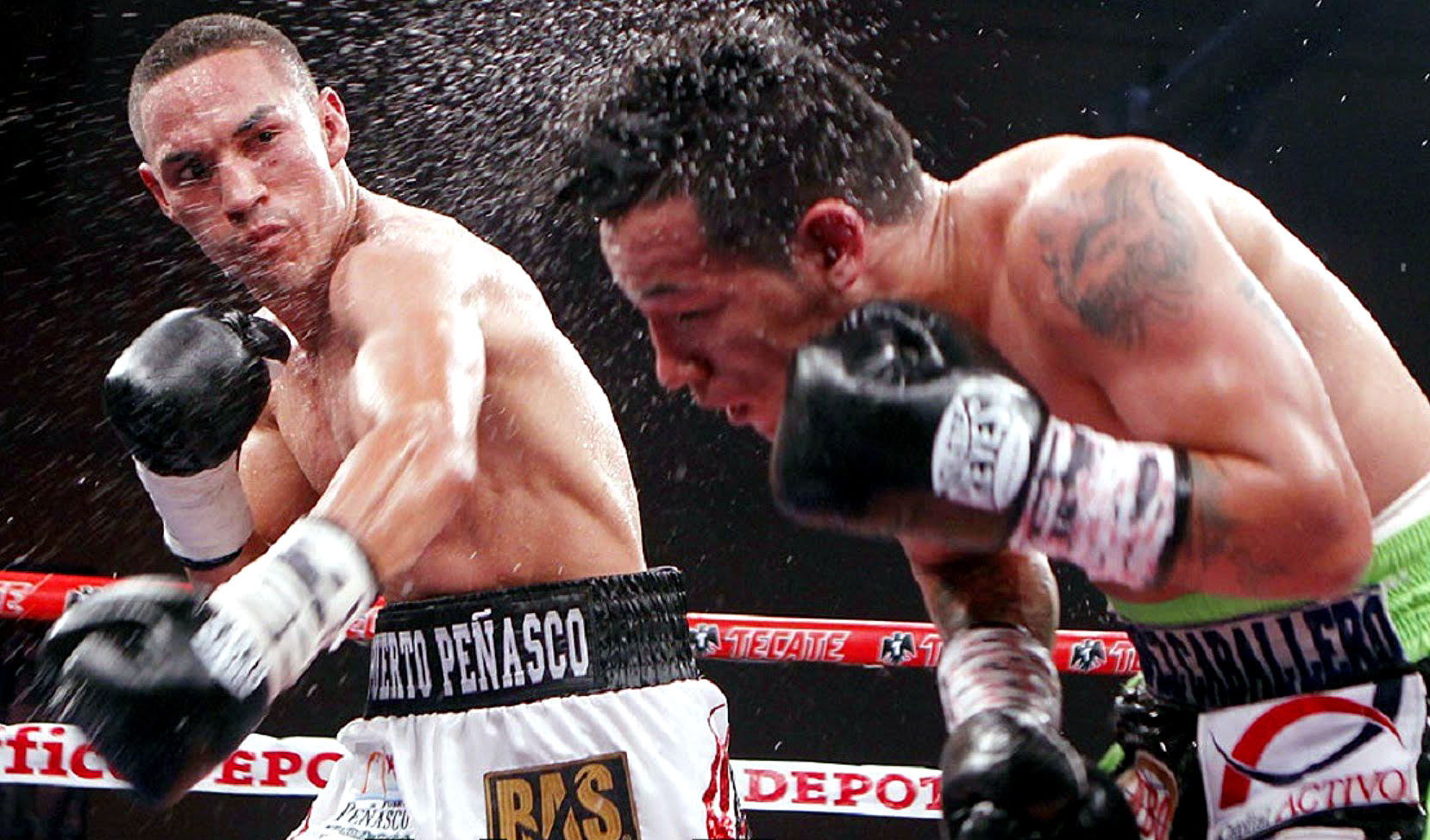 In his last bout Estrada knocked out Hernan Marquez at 1:16 of round 10. (Photo: Courtesy)