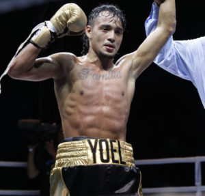 Bajo su propuesta “Un sólo boxeo” y con miras a Tokio 2020 AMB impulsará proyecto olímpico del Boxeo de Venezuela