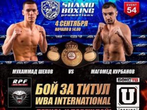 Shekhov and Kurvanov in a duel of undefeated for the WBA-International belt this Friday