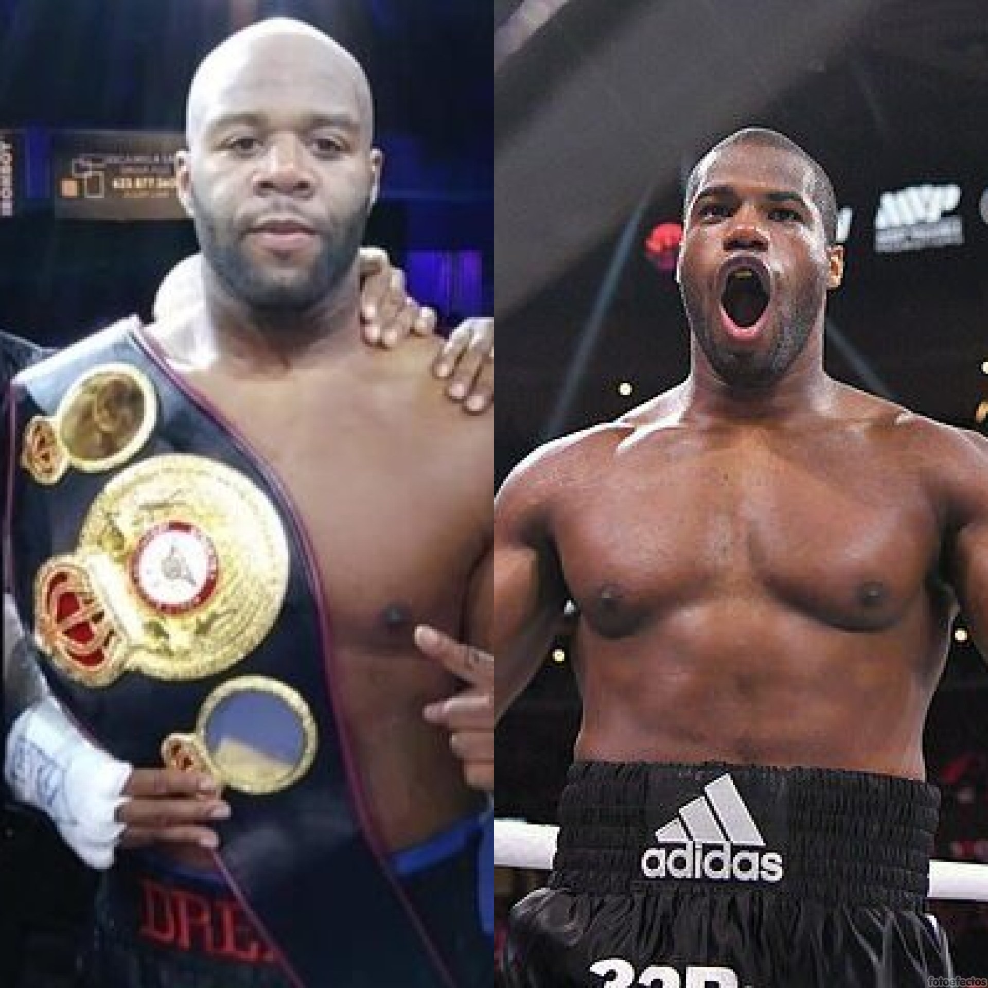 Bryan and Dubois fight for the WBA heavyweight title 