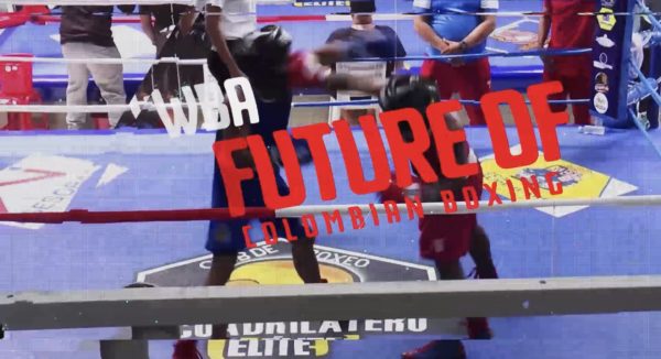 Positive balance of the first day of WBA Future of Colombian Boxing 
