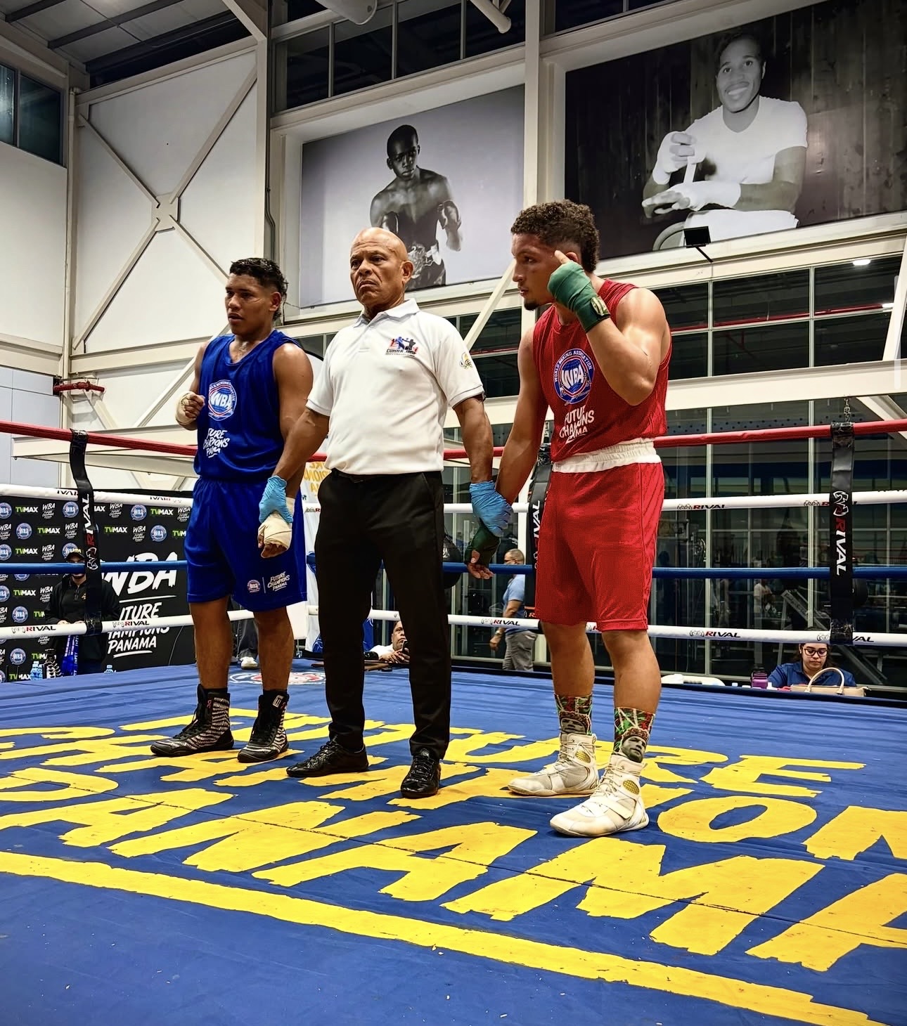 WBA Future Delivers Another Successful Event Alongside TV Max